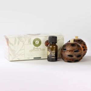 Two Banksia Aroma pods and eucalyptus oil bottle with presentation box