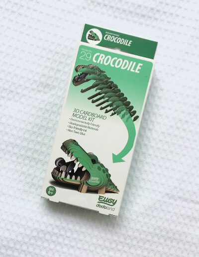 3D cardboard model Crocodile presentation box