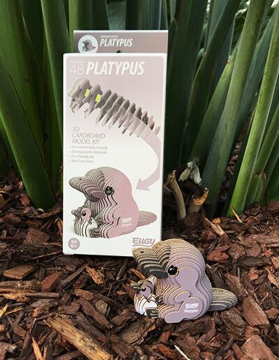 3D platypus cardboard model kit and box