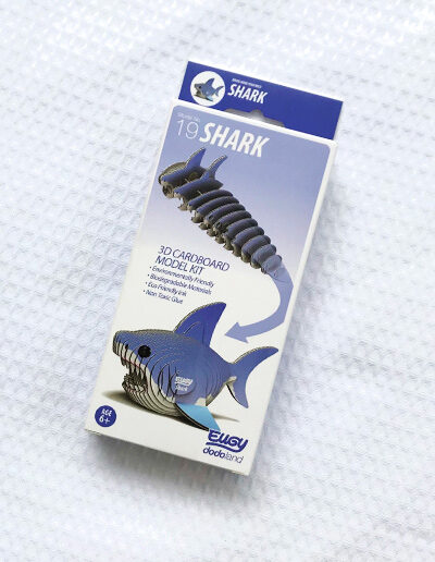 3D cardboard model Shark presentation box