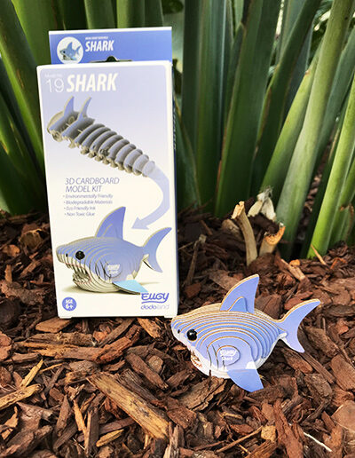 3D shark cardboard model kit and box