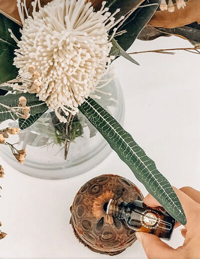 Banksia Aroma pod and eucalyptus oil bottle
