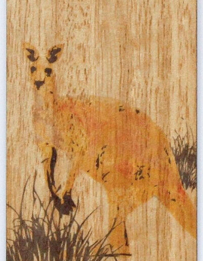 Australian made wooden coloured A close up of a coloured Kangaroo bookmark presented on recycled card