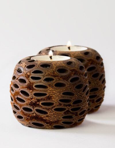 Set of two ball tea light holders made from banksia seed pods