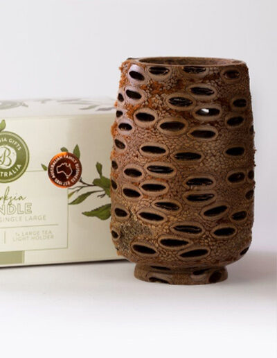 Large tea light holder made out of a banksia seed pod, sitting with its gift box.