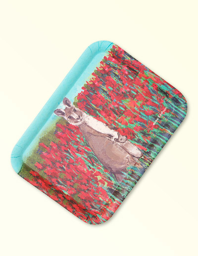 Kangaroo tray