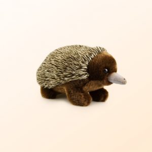 Echidna Lil friends