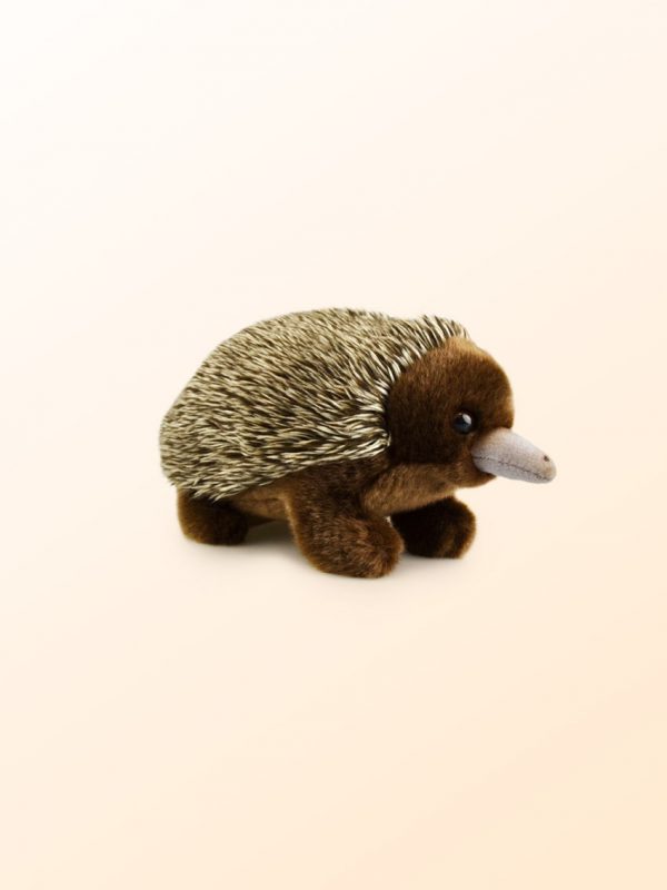 Echidna Lil friends