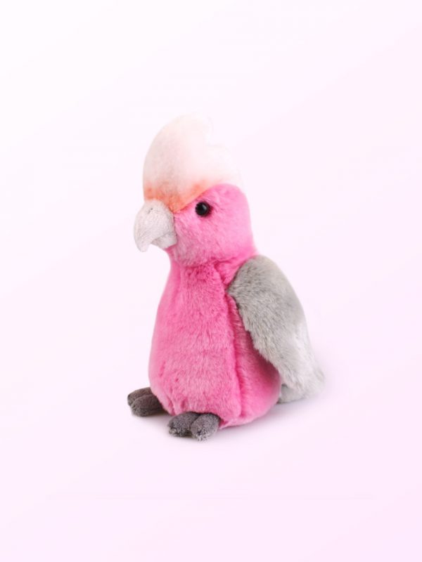 Galah plush toy