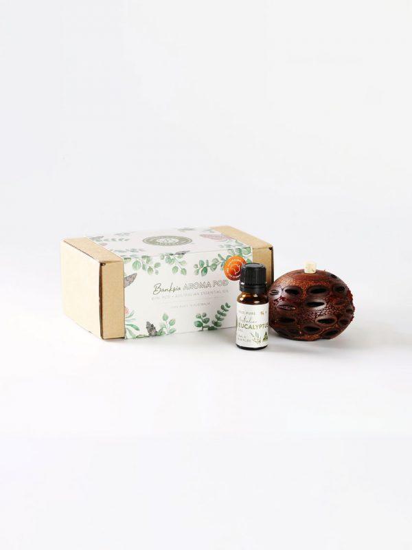 Mini eucalyptus oil & pod gift box