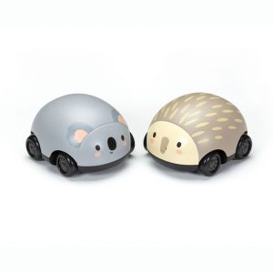 Pull-back Koala and Echidna