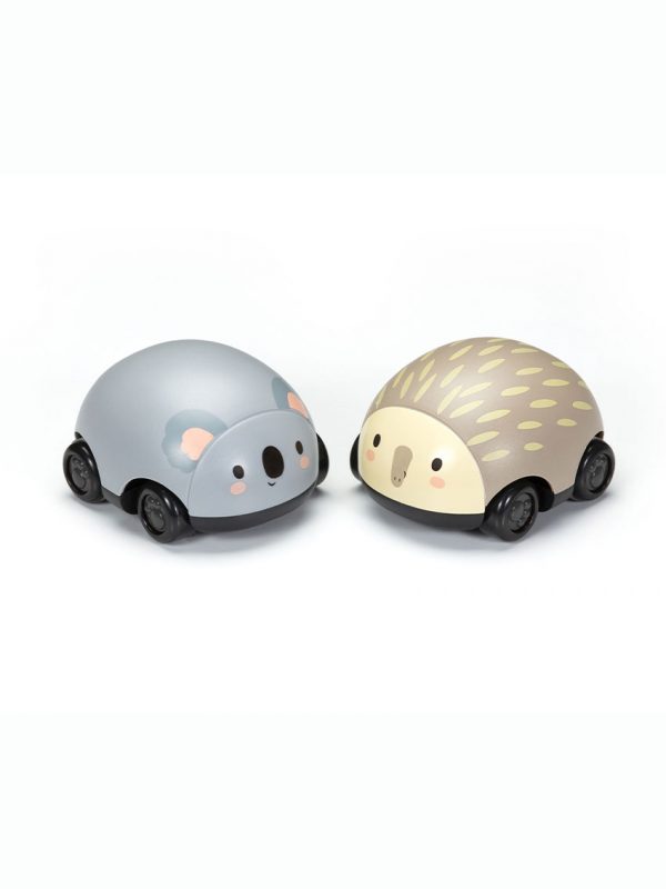 Pull-back Koala and Echidna