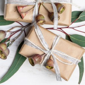 Express Shipping