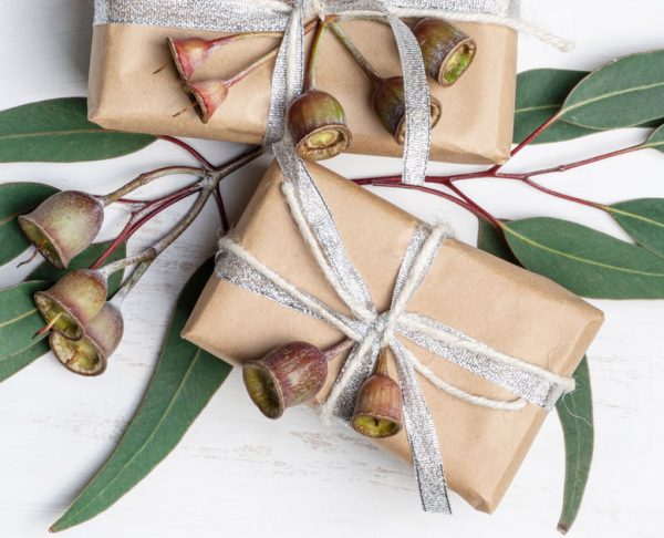 Express Shipping