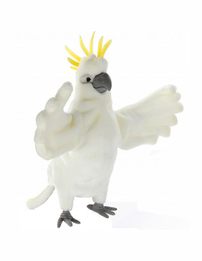 Cockatoo plush outlet