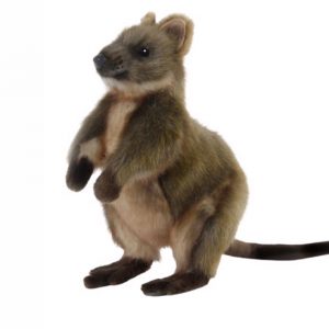 Hansa Quokka Plush toy