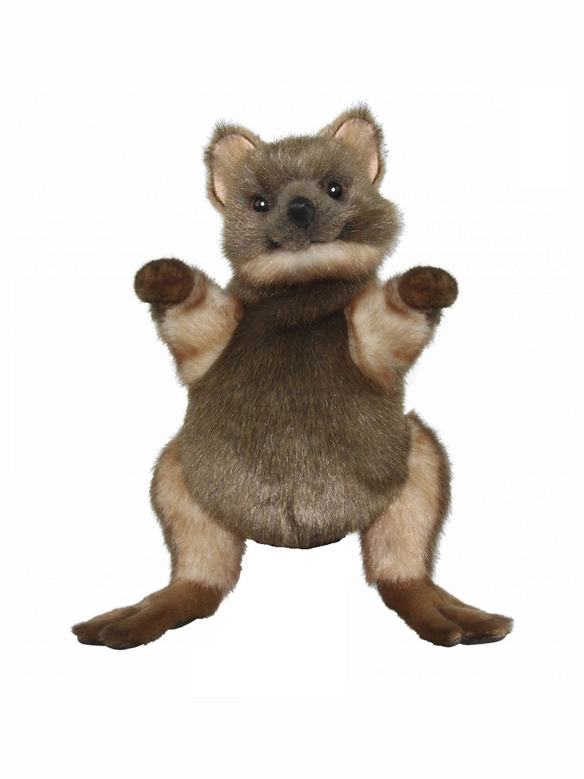 Quokka plush sale