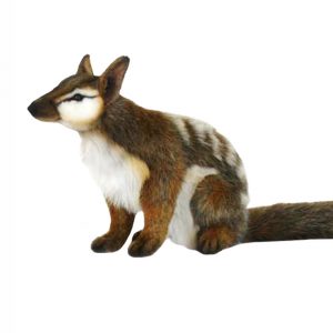 Numbat plush