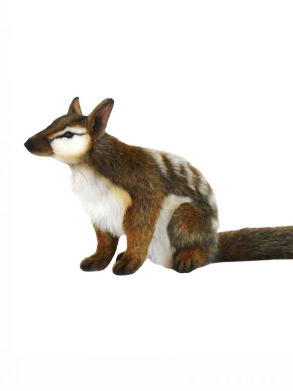 Numbat plush