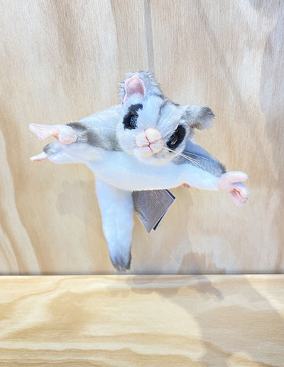 Sugar glider soft toy new arrivals