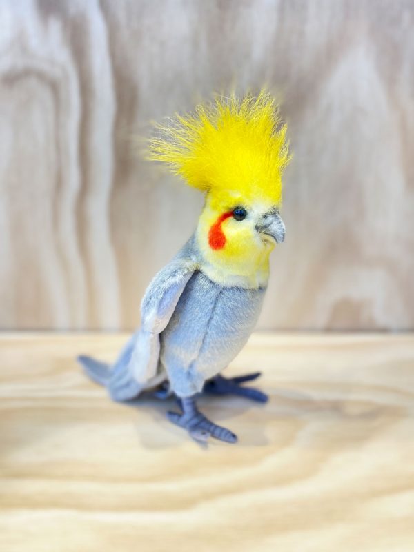 Hansa Cockatiel