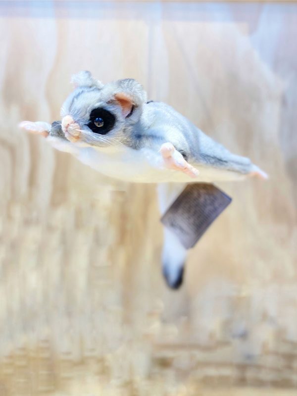 Hansa Sugar Glider