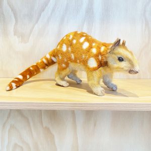 Hansa Quoll soft toy