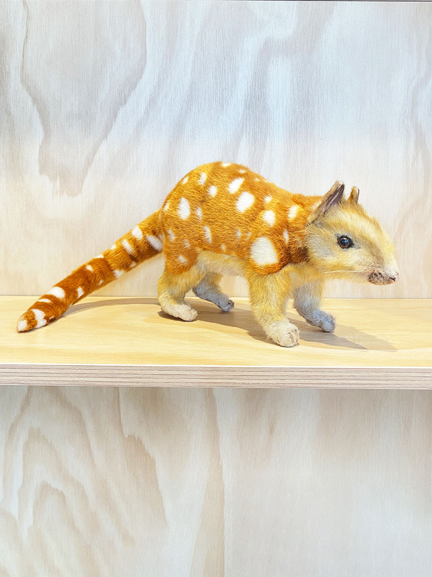Hansa Quoll Australian Plush Toy