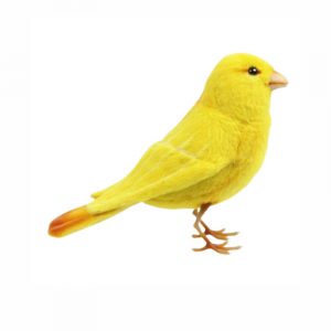 Canary plush