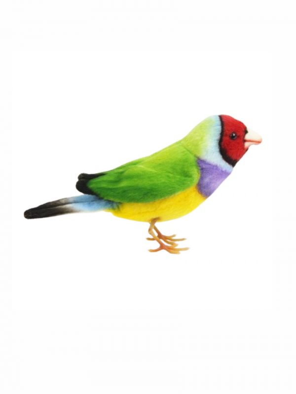 Gouldian finch plush