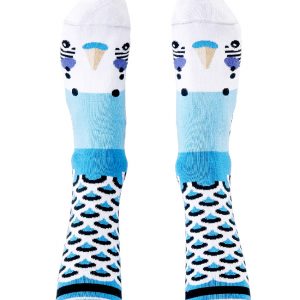 Blue budgie socks