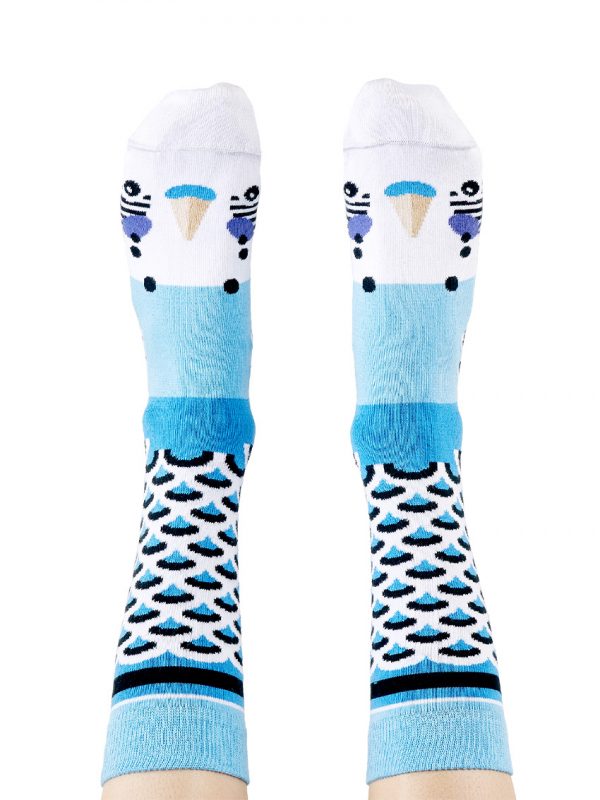 Blue budgie socks