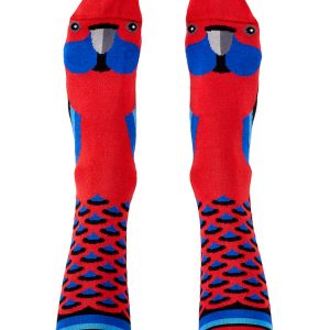 Crimson rosella socks