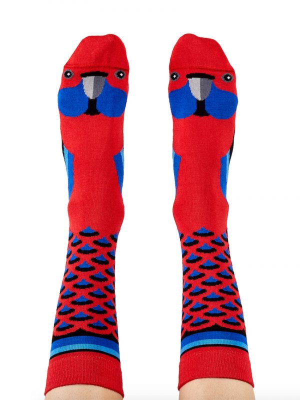 Crimson rosella socks