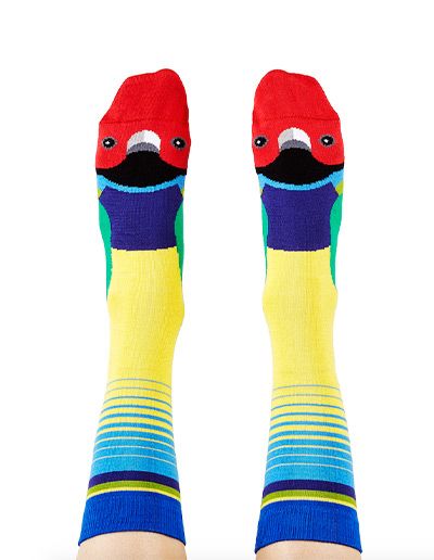 Gouldian finch socks