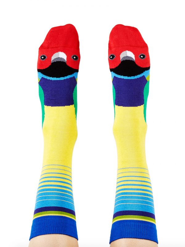 Gouldian finch socks