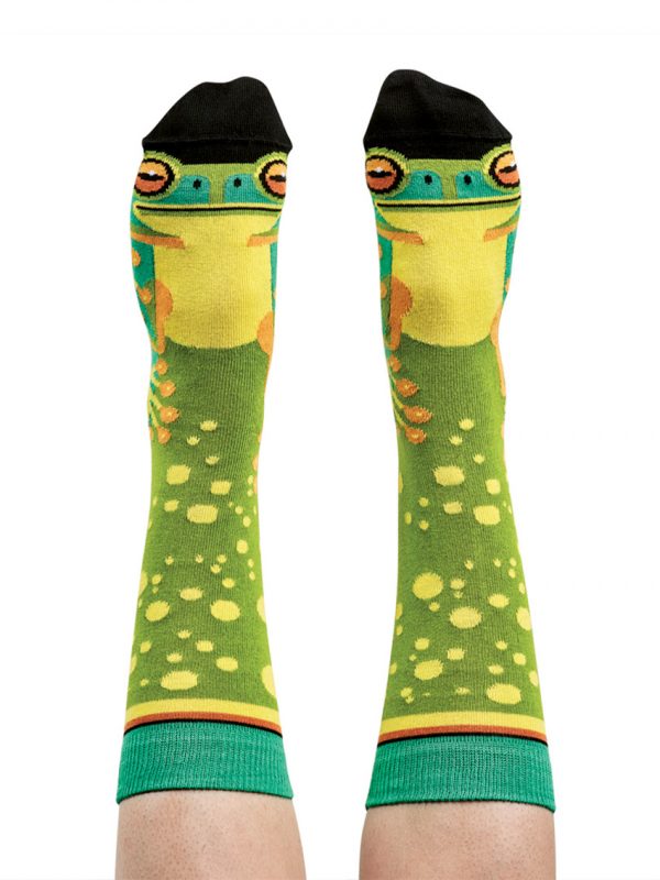 Green tree frog socks