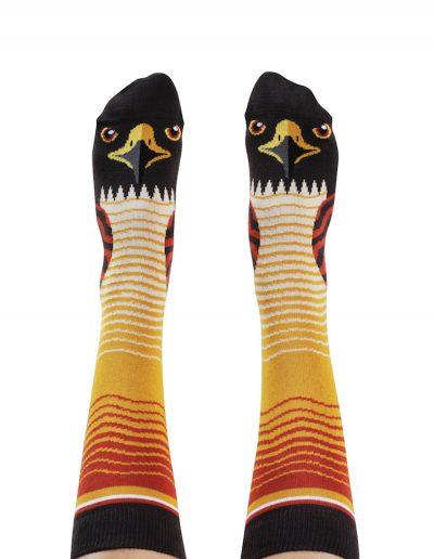 Hawk socks