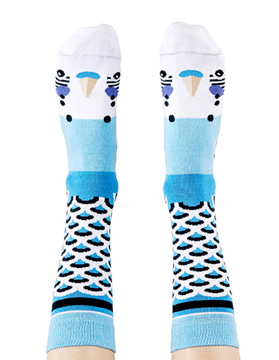 Blue budgie socks