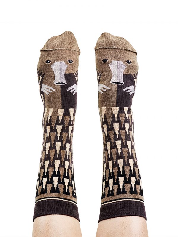 Echidna socks