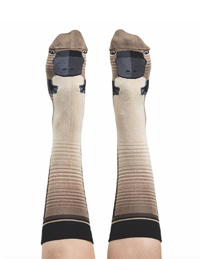 Platypus socks