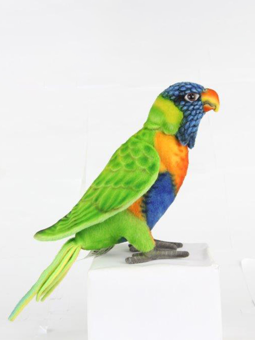 Rainbow shop lorikeet toys
