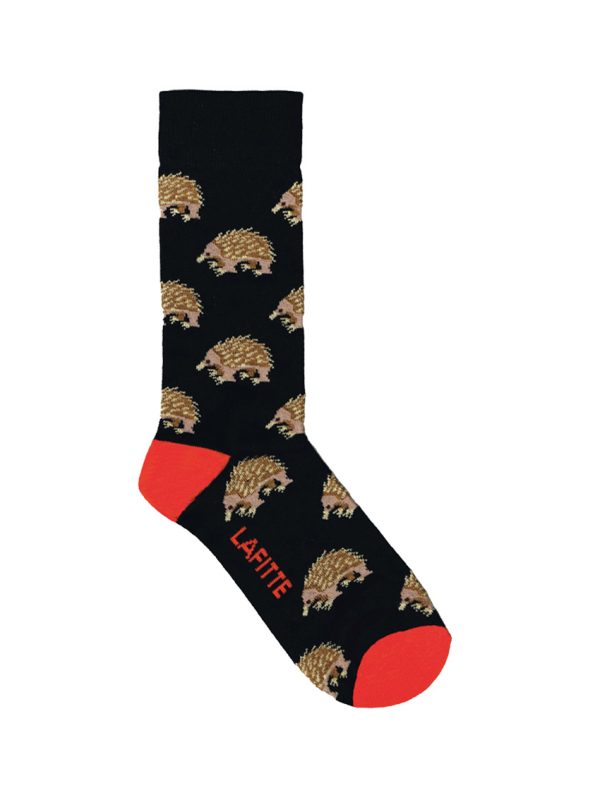 Echidna socks black