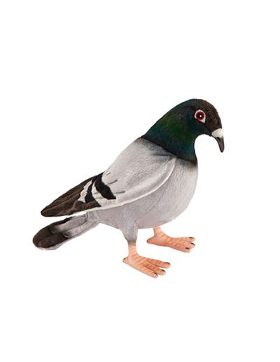 Pigeon soft toy