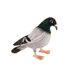 Pigeon soft toy