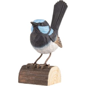 Wooden Superb Fairy Wren
