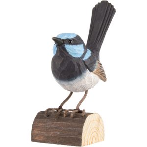 Wooden Superb Fairy Wren