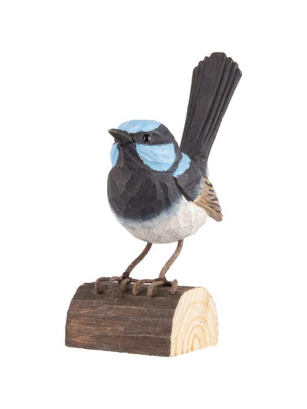 Wooden Superb Fairy Wren