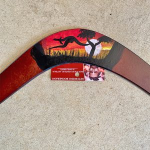 Daniel Roberts 18 inch Boomerang