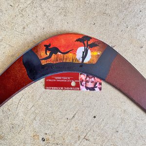 Daniel Roberts 14 inch Boomerang